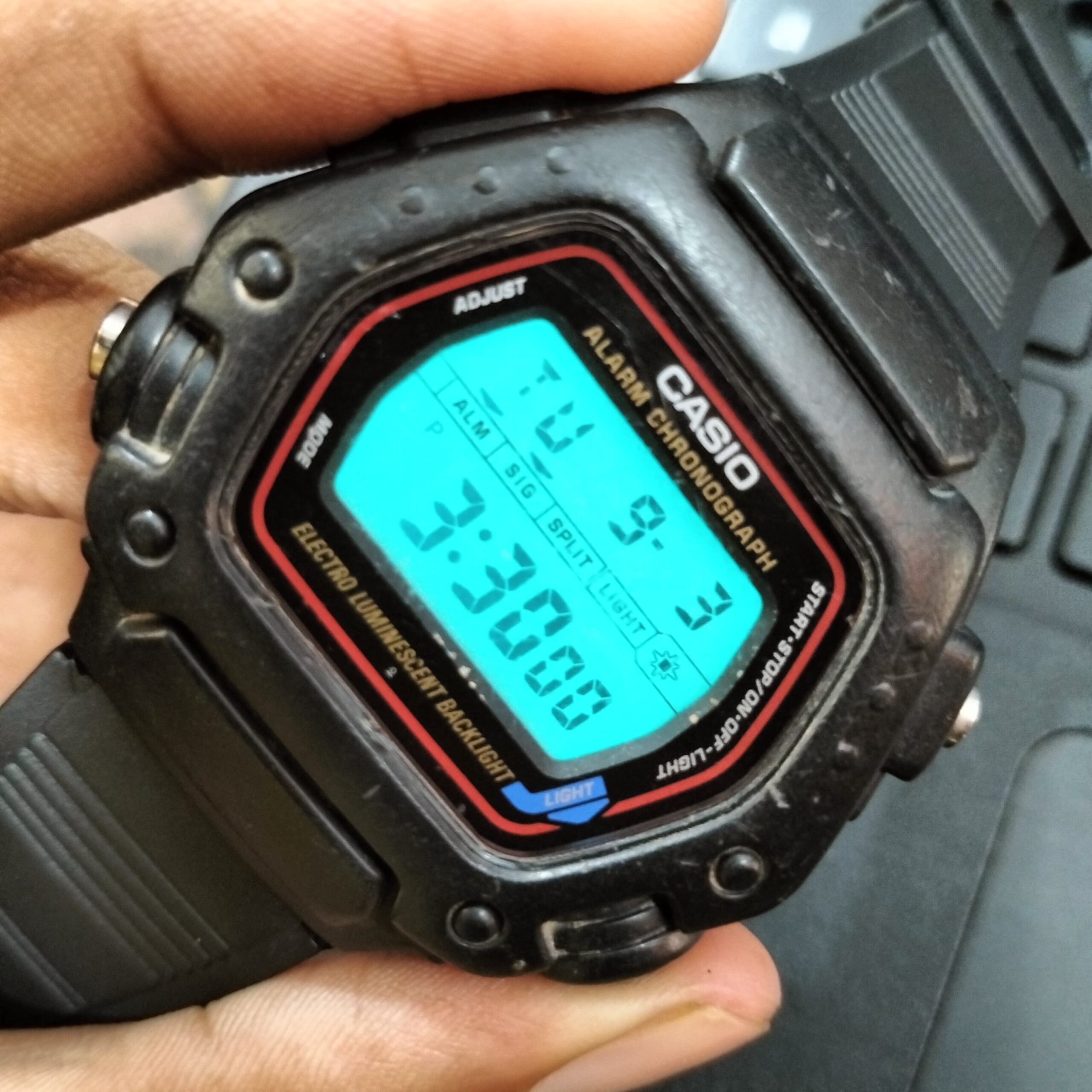 WhatsApp Image 2024 09 03 at 3.16.33 PM