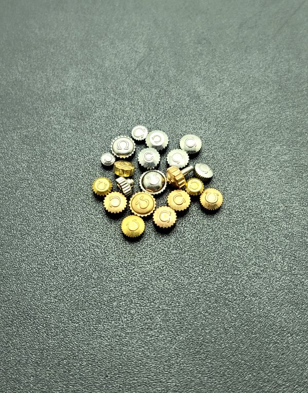 WhatsApp Image 2024 04 21 at 4.29.20 PM 2 600x765