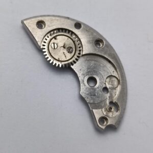 WhatsApp Image 2024 11 18 at 1.53.36 PM