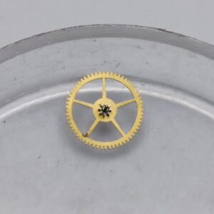 WhatsApp Image 2024 11 18 at 3.45.47 PM (1)