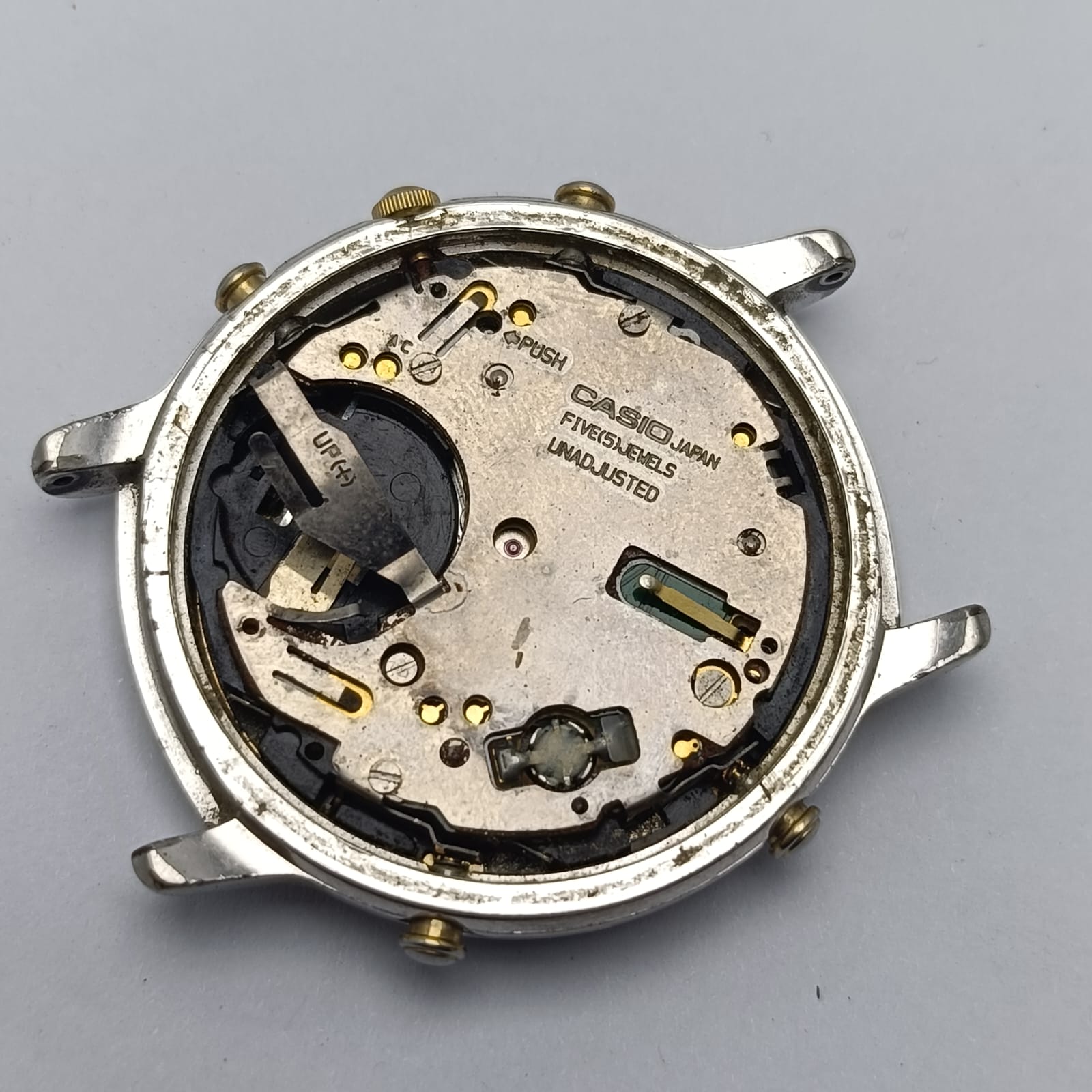 WhatsApp Image 2024 11 18 at 5.46.11 PM (1)