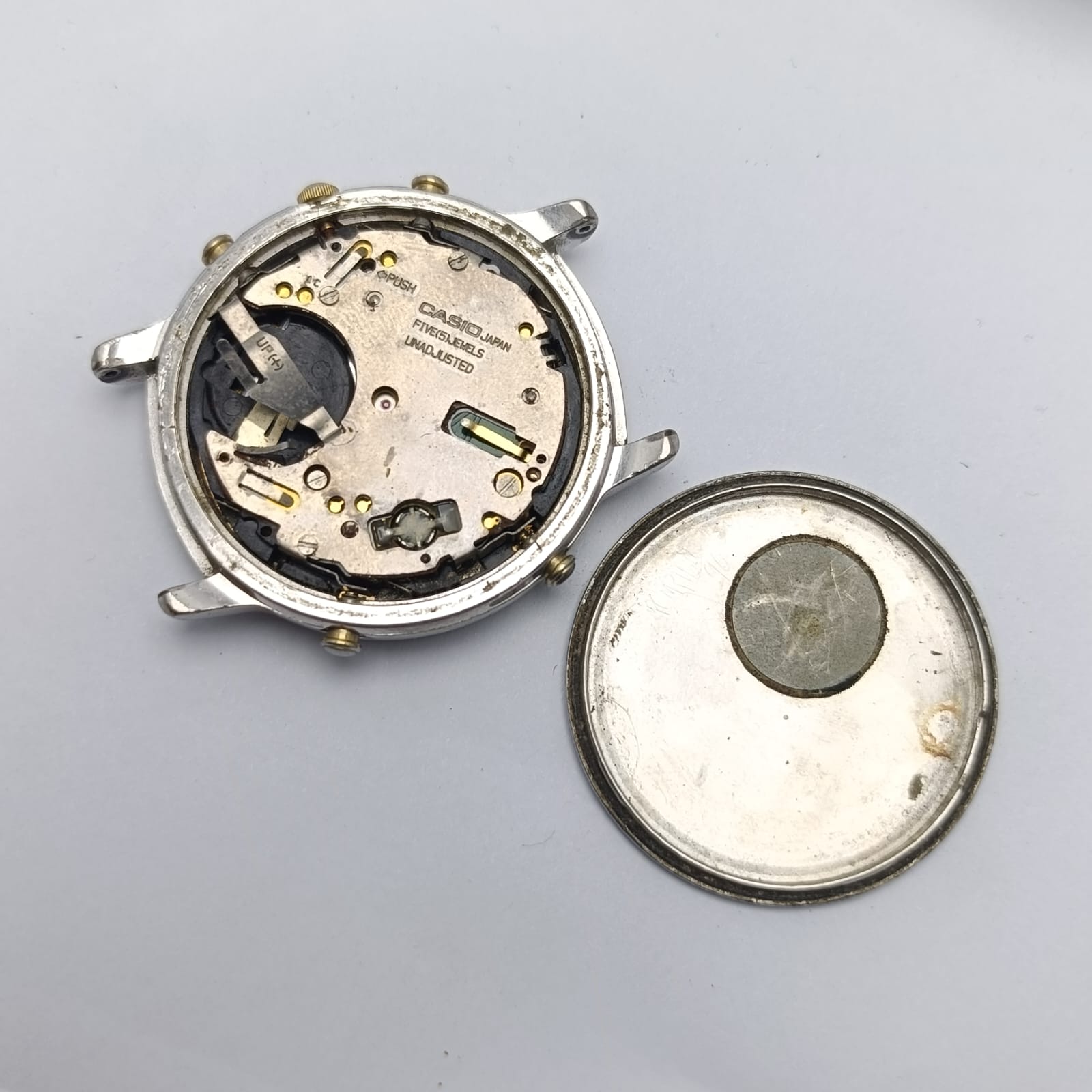 WhatsApp Image 2024 11 18 at 5.46.12 PM