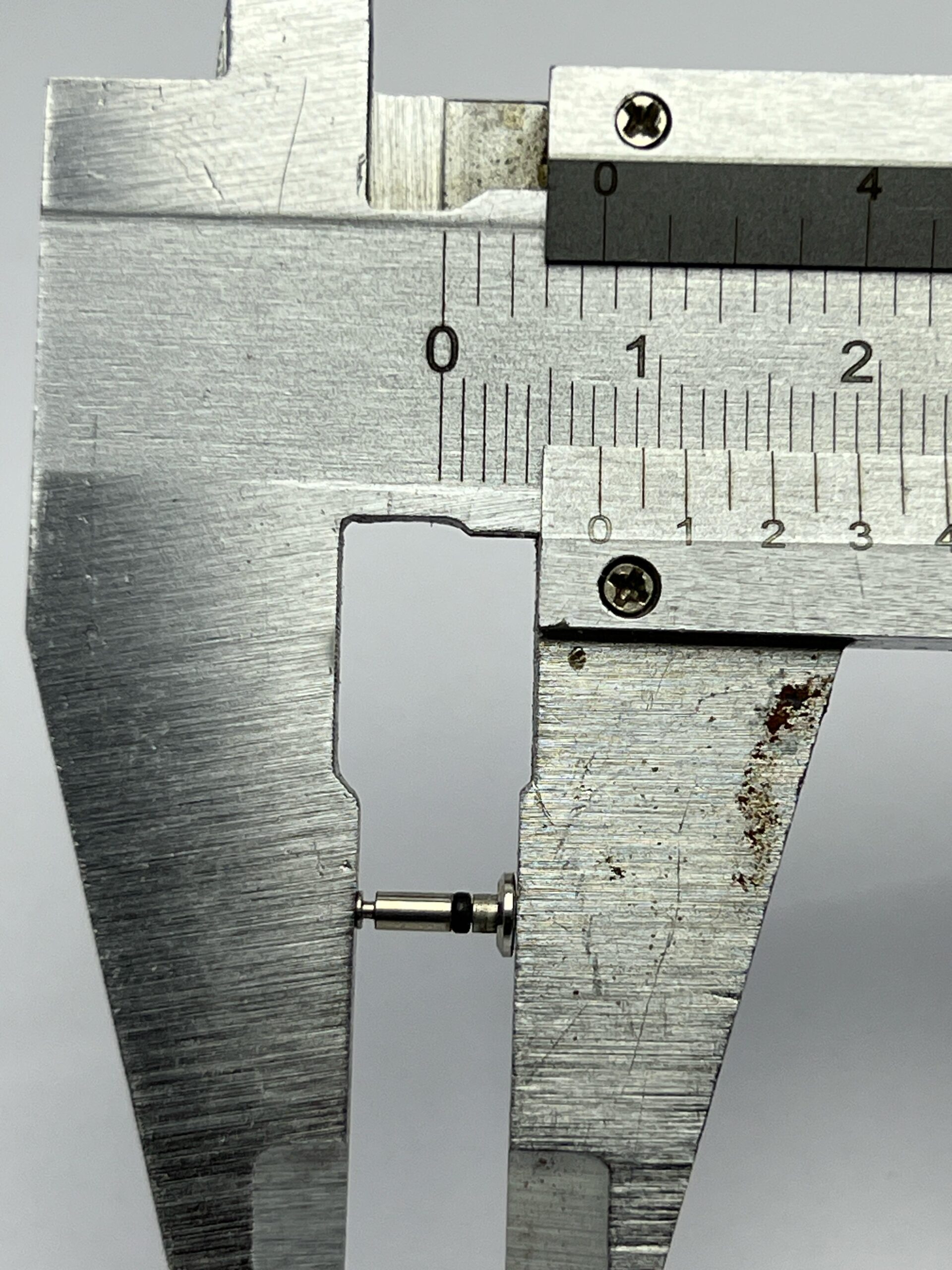 WhatsApp Image 2025 04 08 at 4.38.51 PM