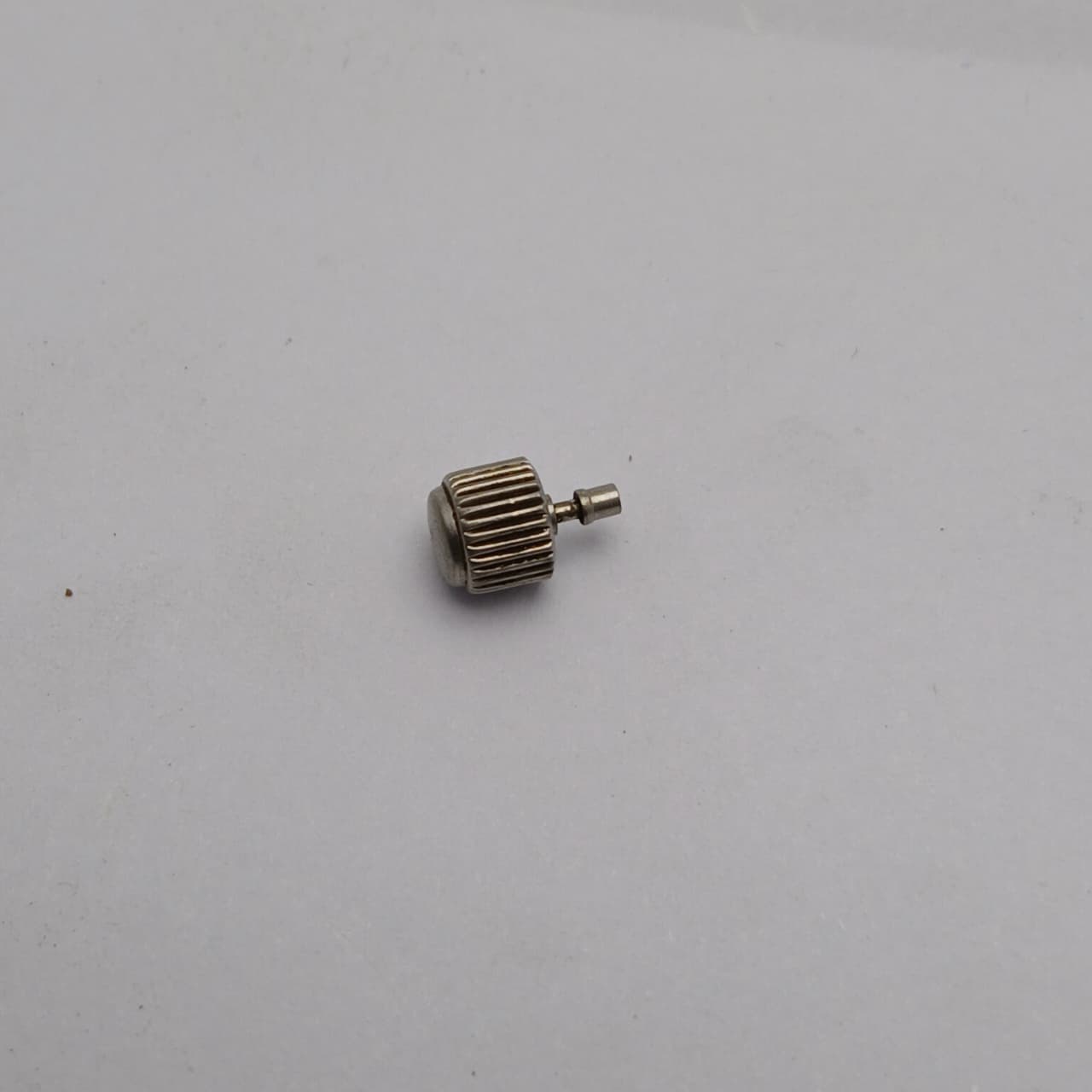 WhatsApp Image 2025 08 11 at 2.52.16 PM (1)