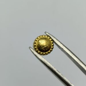 WhatsApp Image 2025 08 26 at 5.26.16 PM