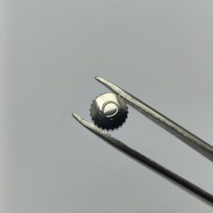 WhatsApp Image 2025 08 26 at 5.26.18 PM