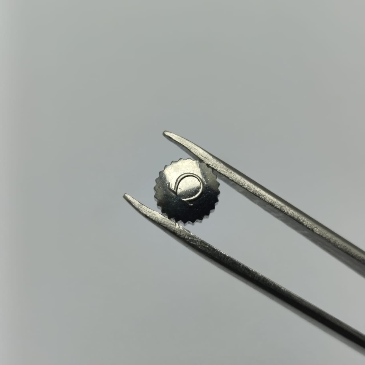 WhatsApp Image 2025 08 26 at 5.26.18 PM